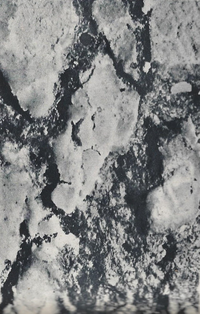 Fig. 2.2 -  Una crosta di pane, in La lente in casa, «Sapere», 23 (1935), p. 407 © Hoepli.